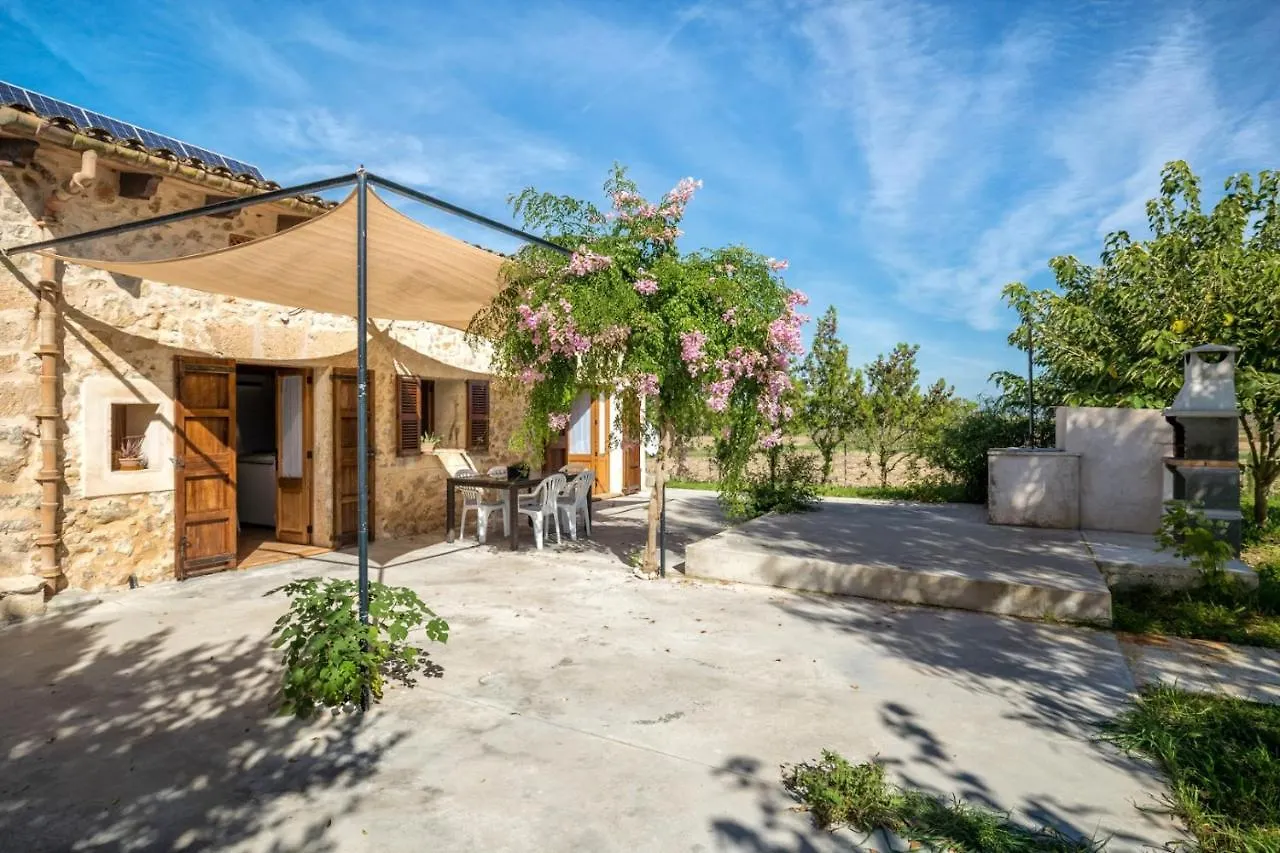 Es Camp Pla Villa Sineu  Spain