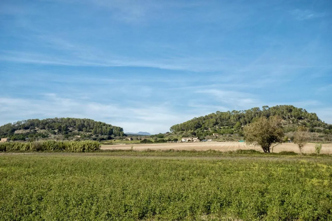 Es Camp Pla Villa Sineu